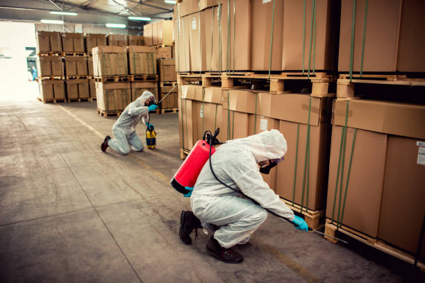 Best Cockroach Control Services  in Vcennes, IN