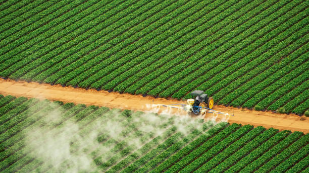 Pest Control Cost in Vincennes, IN