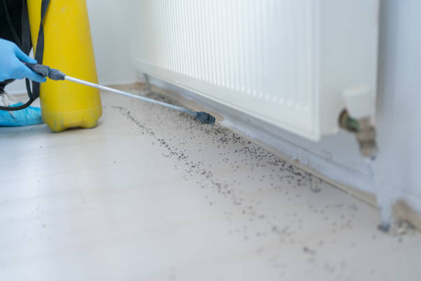 Best Pest Control Near Me in Vincennes, IN